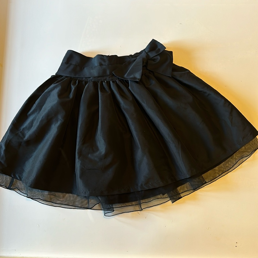 Gap Taffeta and Tulle Skirt